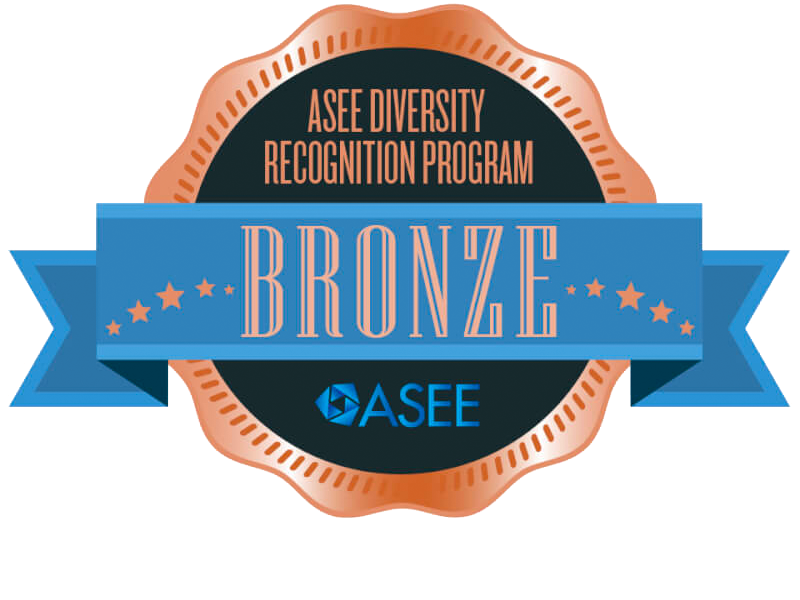 2019 Diversity Recognition Badge - Bronze